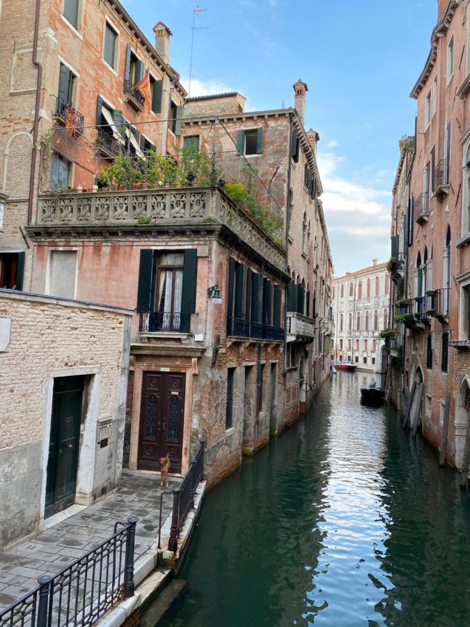 Lively Castello Comfort Room Private Bath & Privacy Venedig Exteriör bild